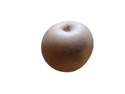 Manzano "Ollo mouro". Árbol frutal en maceta