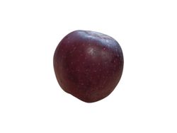 Pommier en chef rouge en motte