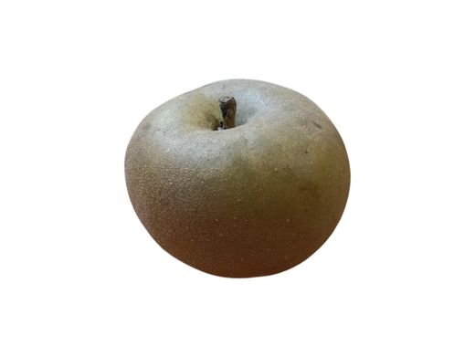 Manzano "Tabardilla Parda". Árbol frutal autóctono de Galicia