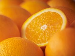 Laranjeira Salustiana - Citrus sinensis "Salustiana"