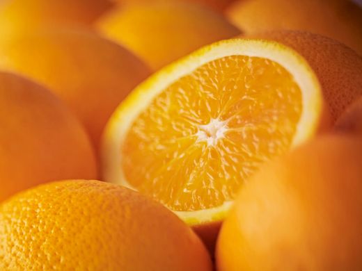 Laranjeira Salustiana - Citrus sinensis "Salustiana"