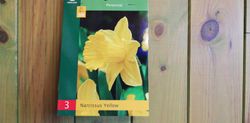 Narcisos amarillos