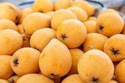 Níspero japonés, Eriobotrya japonica
