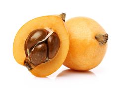 Níspero japonés, Eriobotrya japonica