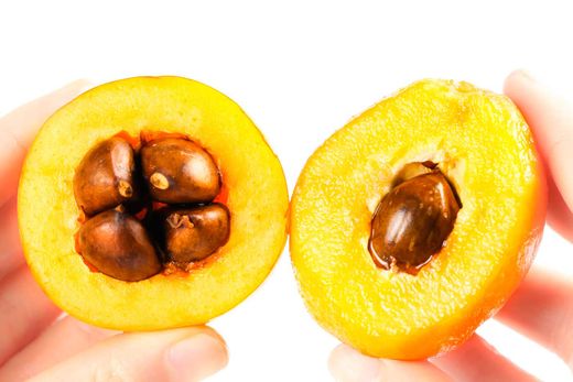 Eriobotrya japonica ‘Golden Nugget’ - Nêspera Japonesa