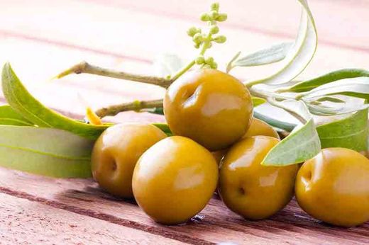Olivo Manzanilla o Villalonga, Olea europaea