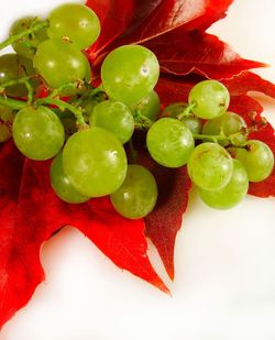 Muscat de vigne d'Alexandrie. Raisin blanc