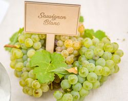 Cépage Sauvignon blanc. raisin blanc