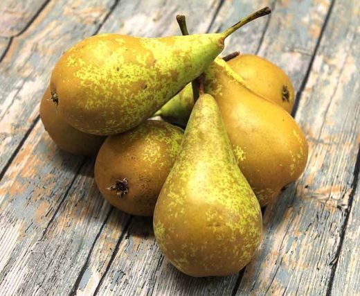 Peral Conferencia en bolsa de 2L