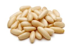 Pinheiro de pedra, pinheiro manso, Pinus pinea