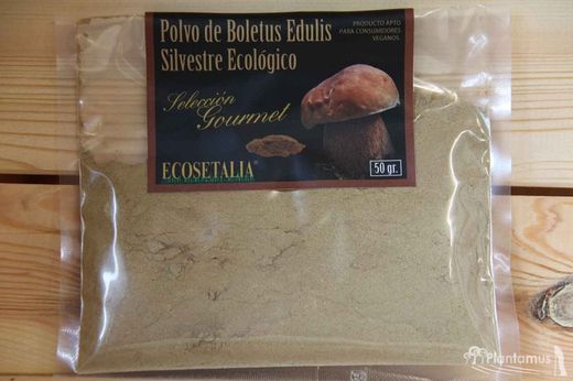 Polvo de boletus edulis deshidratado ecologico