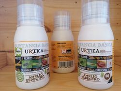 Boue d'ortie, insecticide d'ortie