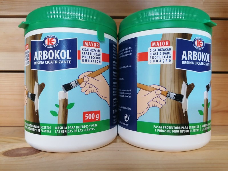 Resina cicatrizante Arbokol al mejor precio. ¡Haz tu pedido¡ — Plantamus  Vivero online