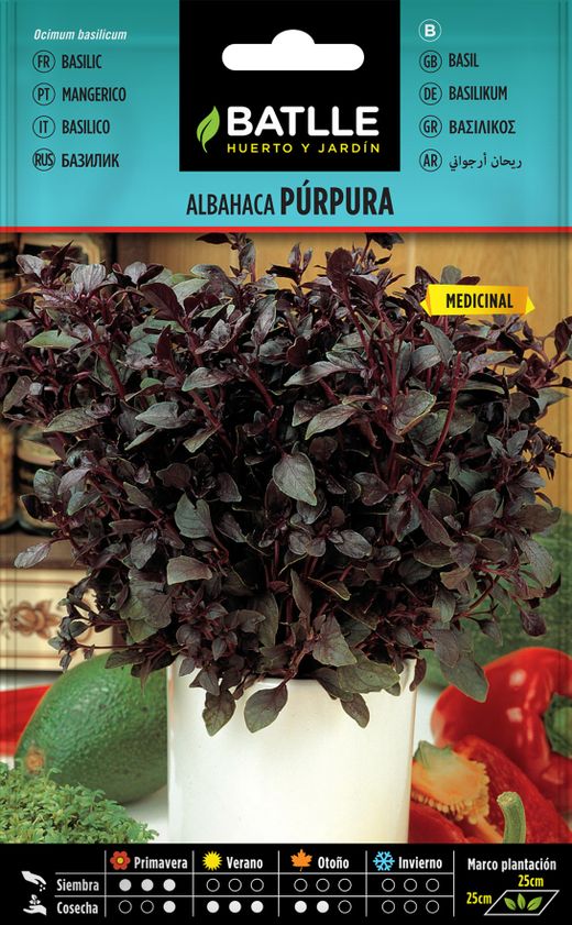 Graine de basilic pourpre aromatique