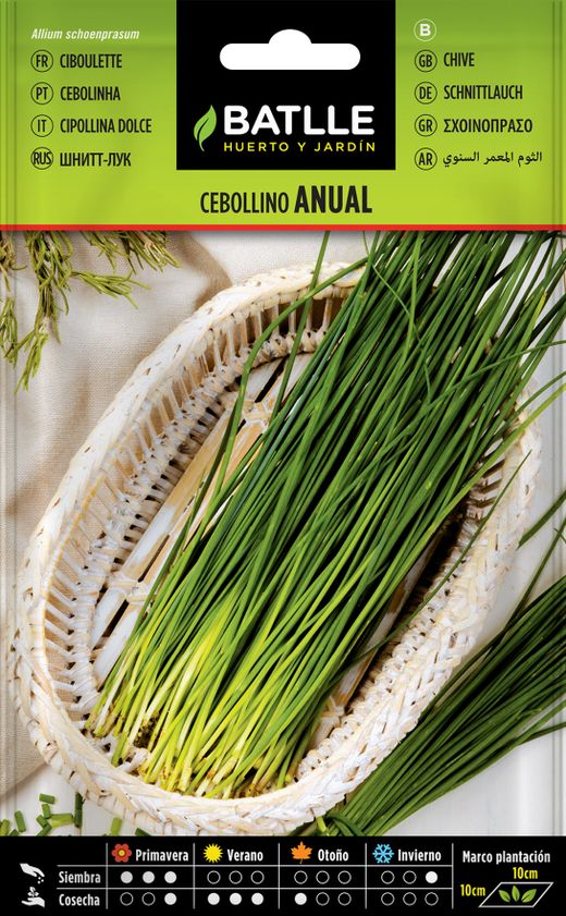 Semilla aromática de cebollino, cebolhino