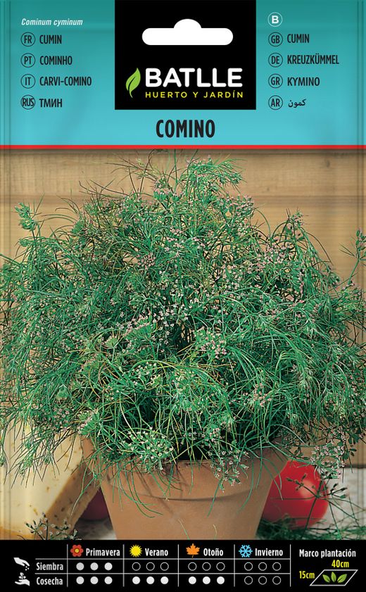 Semilla aromática de comino común