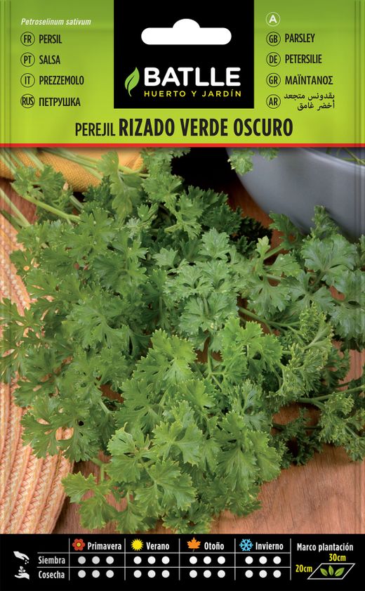 Graine de persil frisé vert foncé aromatique, sauce