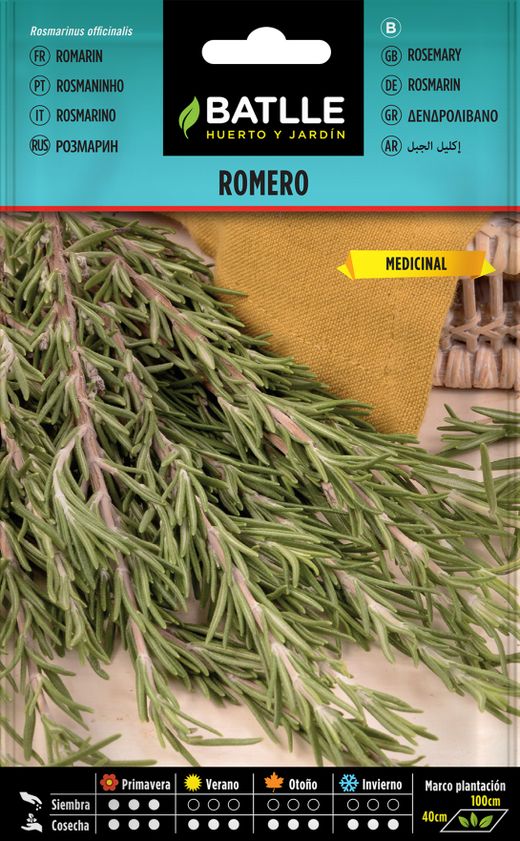 Semilla aromática de romero, alecrim, rosmarinus officinalis