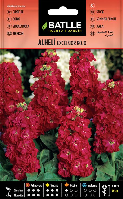 Semilla de alheli excelsior gigante rojo, goivo vernelho