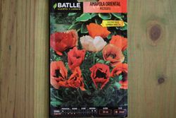 Pizzicato semente de papoula oriental, papaver orientale