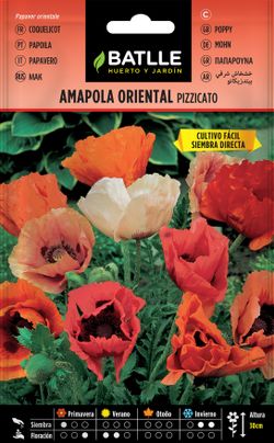 Pizzicato semente de papoula oriental, papaver orientale