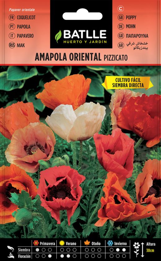 Pizzicato semente de papoula oriental, papaver orientale