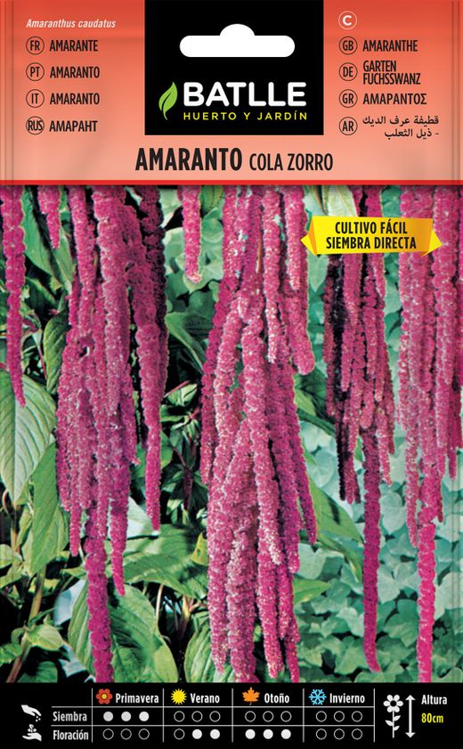 Graine d'amarante sétaire, Amaranthus caudatus