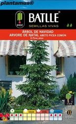 Graines d'arbres et d'arbustes