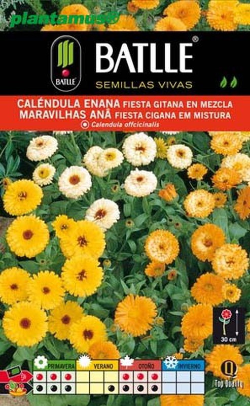 Semillas batlle, venta de semillas de calendula enana — Plantamus Vivero  online
