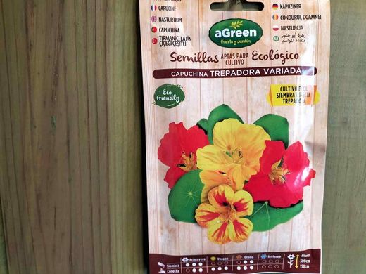 Semilla ecológica de capuchina trepadora variada, tropaeolum majus.