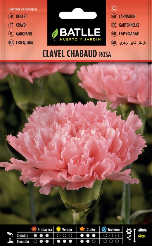 Semilla de clavel chabaud doble rosa, dianthus caryophillus
