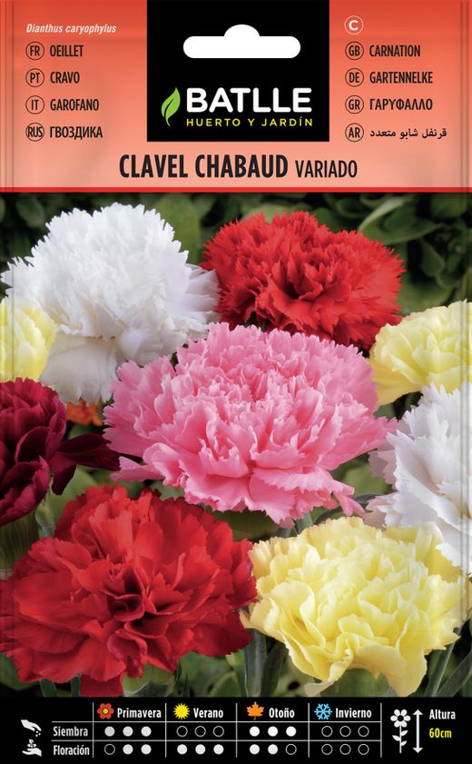 Semence d'oeillet chabaud double mixte, Dianthus caryophillus