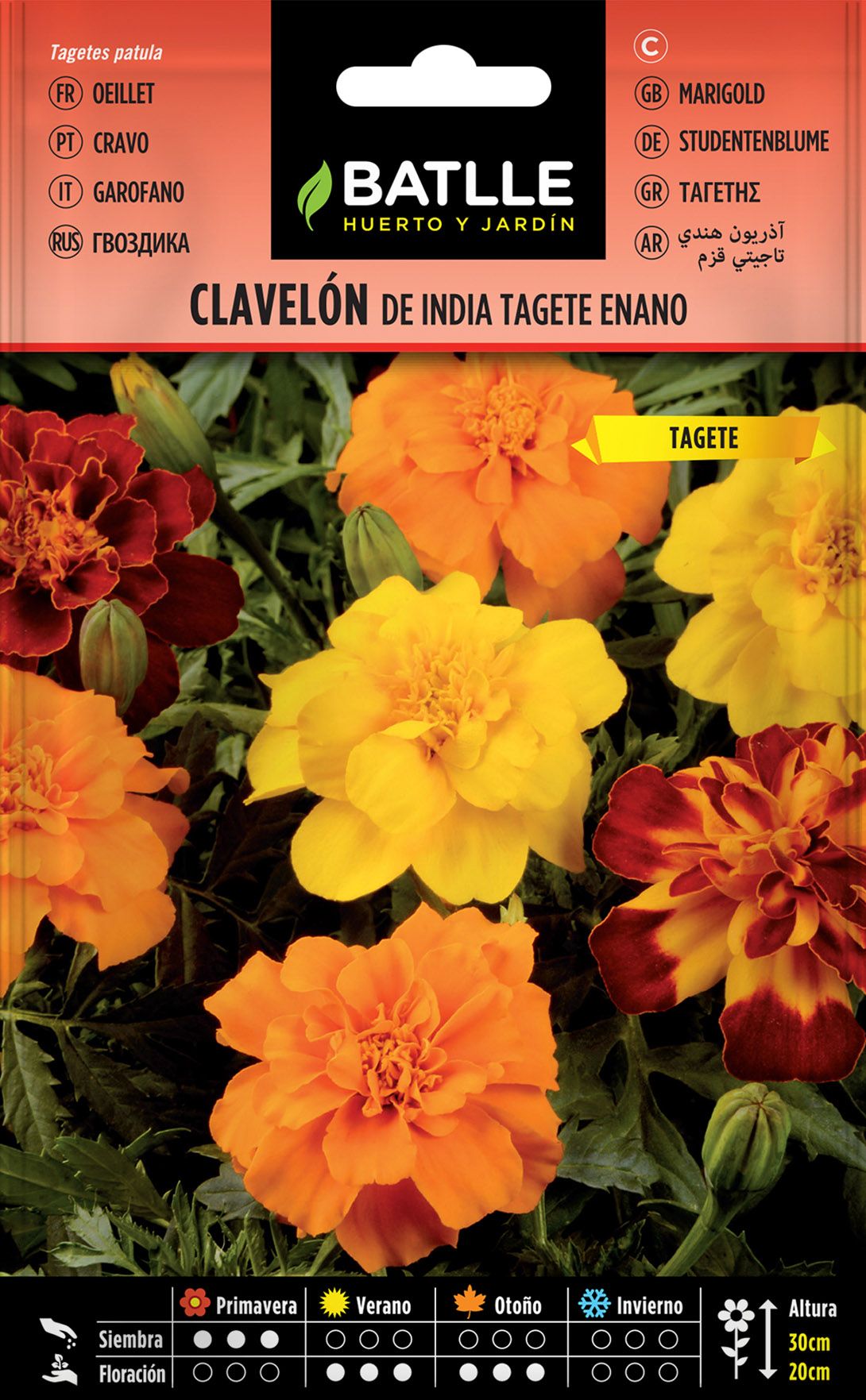 Semilla de clavelon de la india tagete enano, tagetes patula