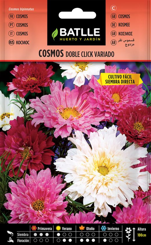 Clique duas vezes em sementes de cosmos, cosmos bipinnatus