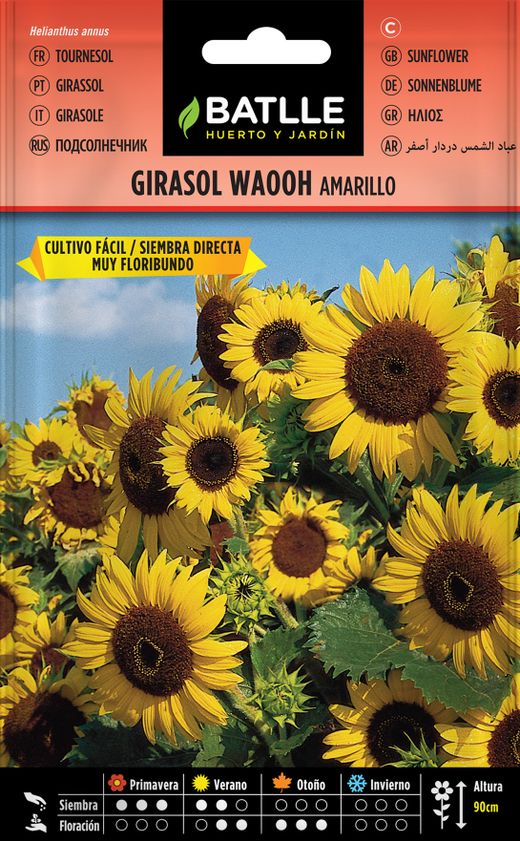 Semilla de girasol waooh amarillo