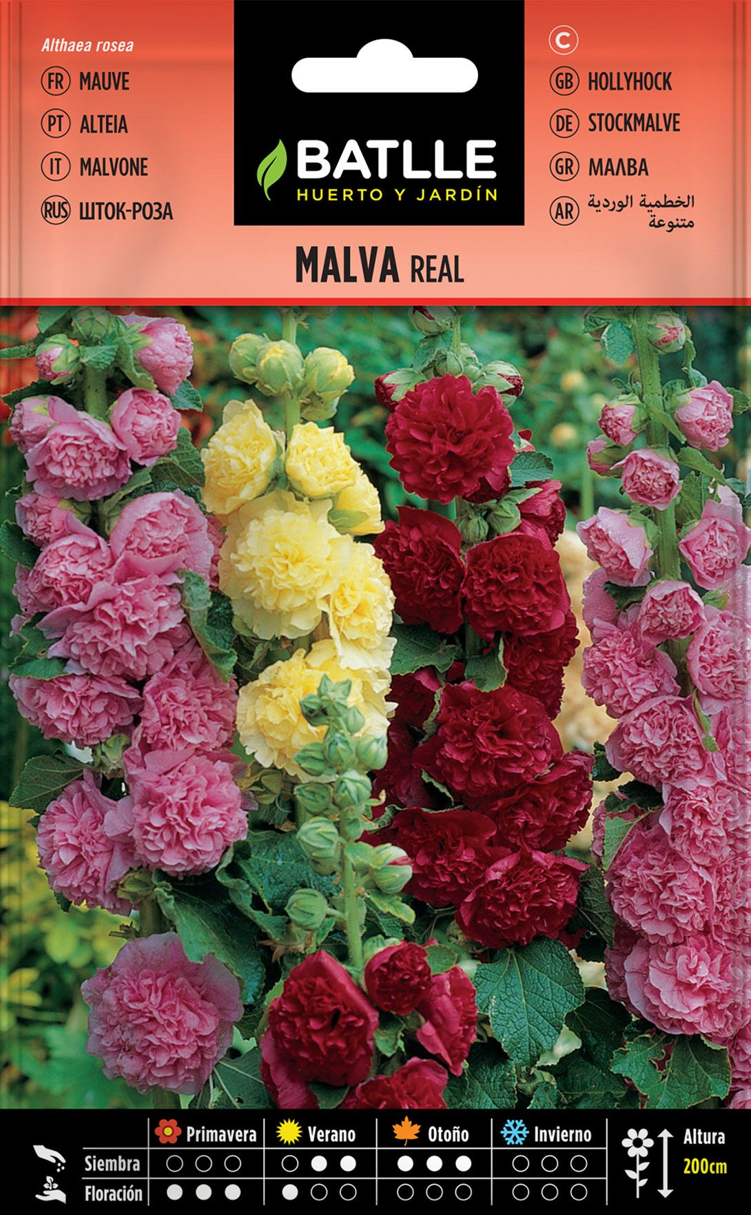 Semilla de malva real variada, alteia flor de pau, althaea rosea