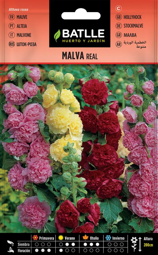 Semilla de malva real variada, alteia flor de pau, althaea rosea