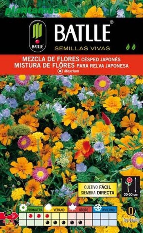 Graine de mélange de fleurs d'herbe japonaise, mesclum.