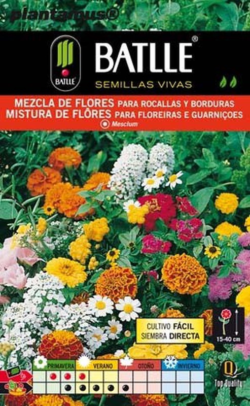 Semente de mistura de flores para jardins ornamentais e bordas — Plantamus  Nursery online