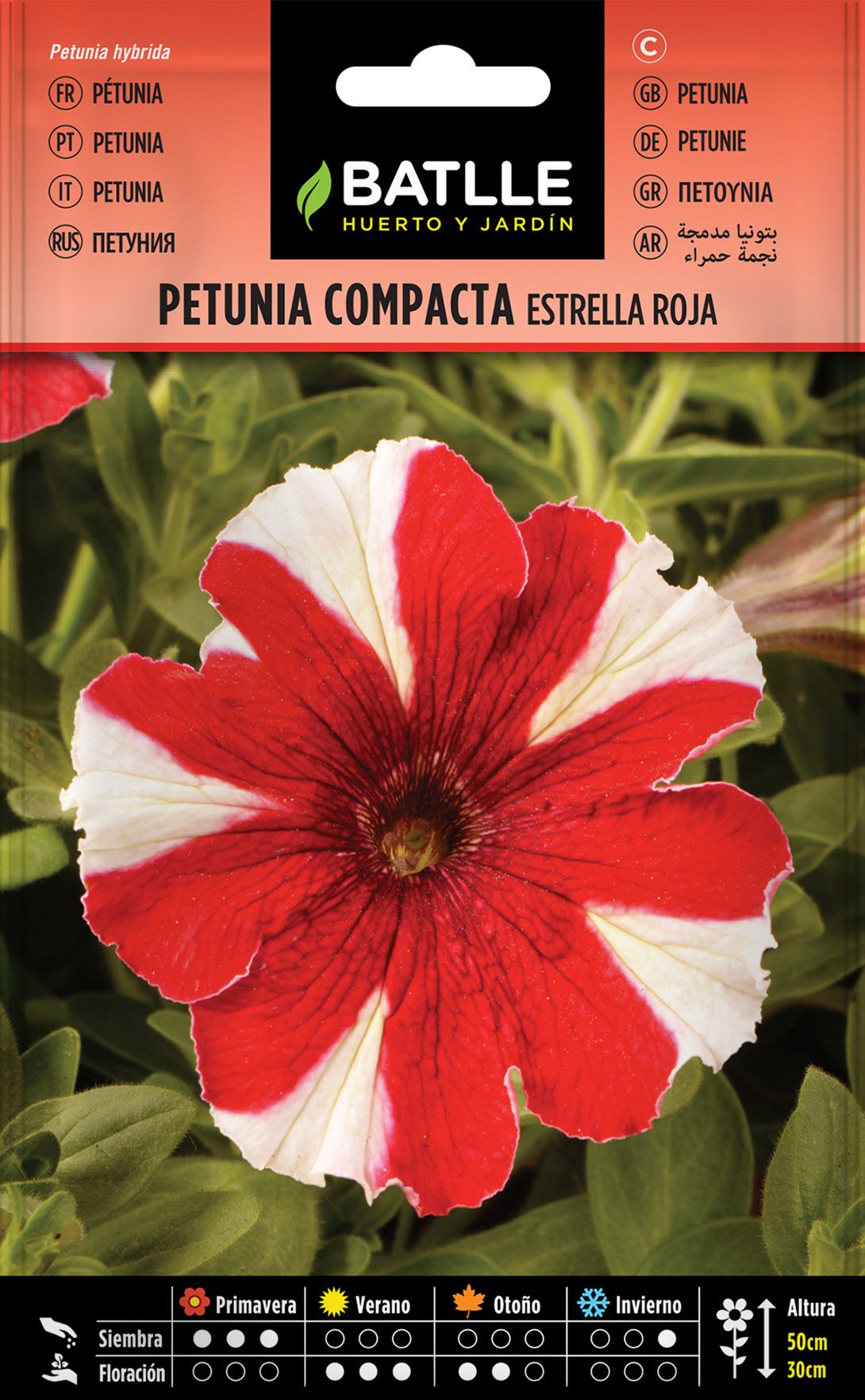 Graine de pétunia compact étoile rouge, Petunia hybrida Plantamus — free download