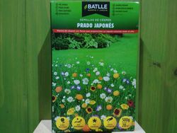 Semente de Prado Japonês