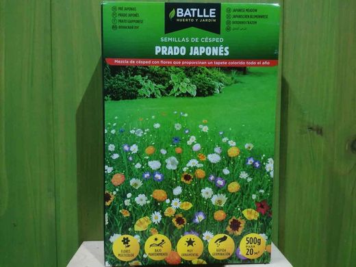 Semente de Prado Japonês