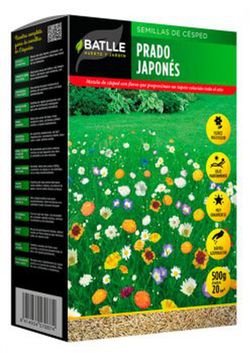 Semente de Prado Japonês