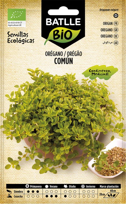Graine aromatique biologique d'origan, oregao, origanum vulgare