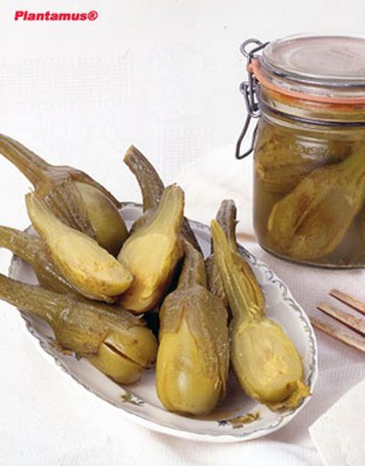 Graine d'aubergine biologique d'Almagro