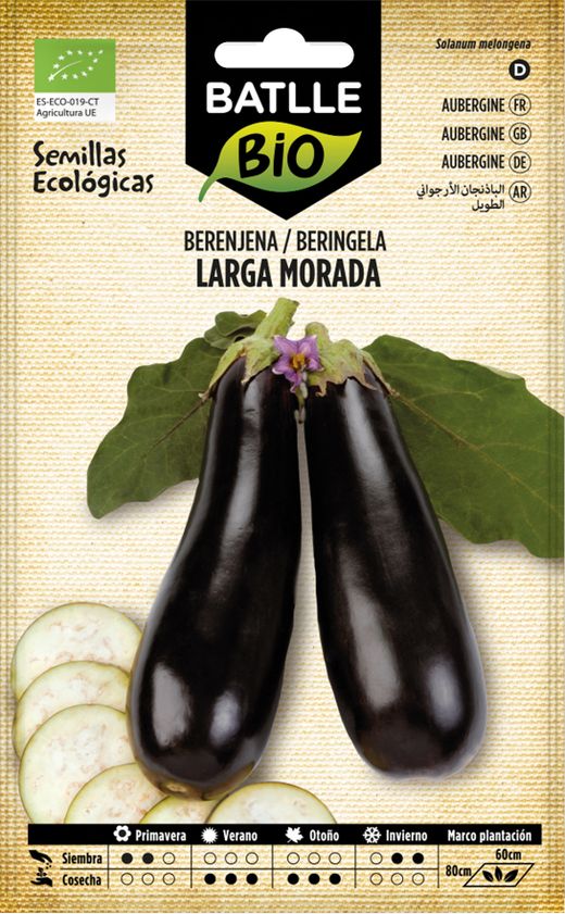 Graine d'aubergine longue violette biologique, beringela