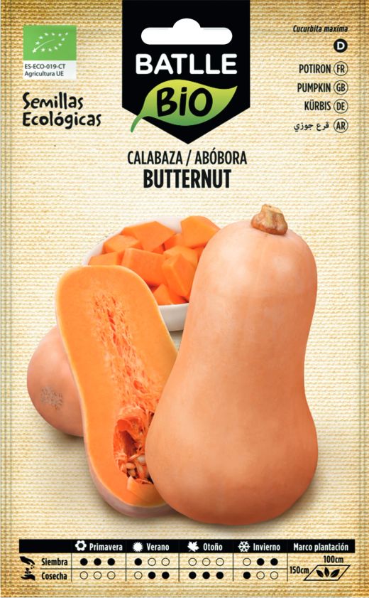 Graine de courge musquée bio, abobora, cucurbita