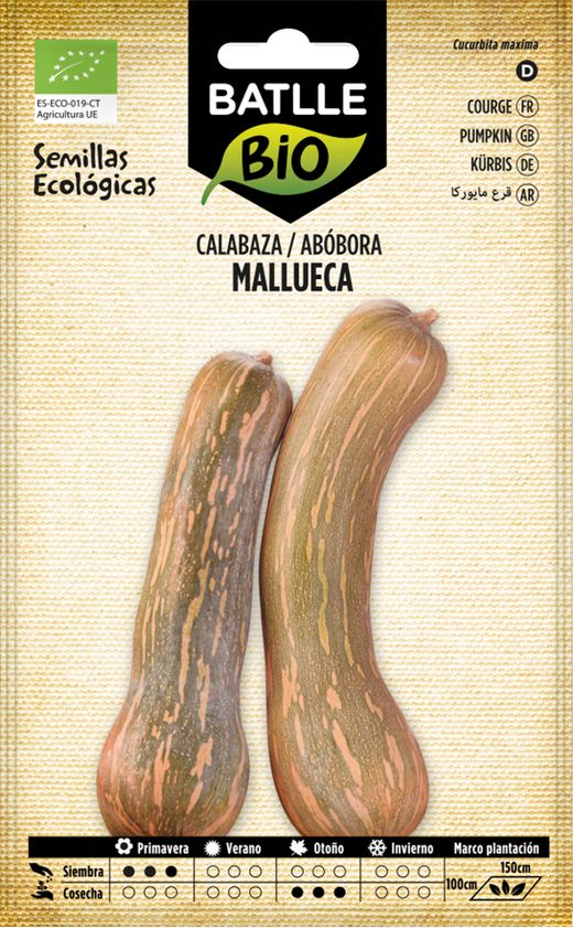 Semilla ecológica de calabaza Mallueca, vasca-mallorca sel. marina