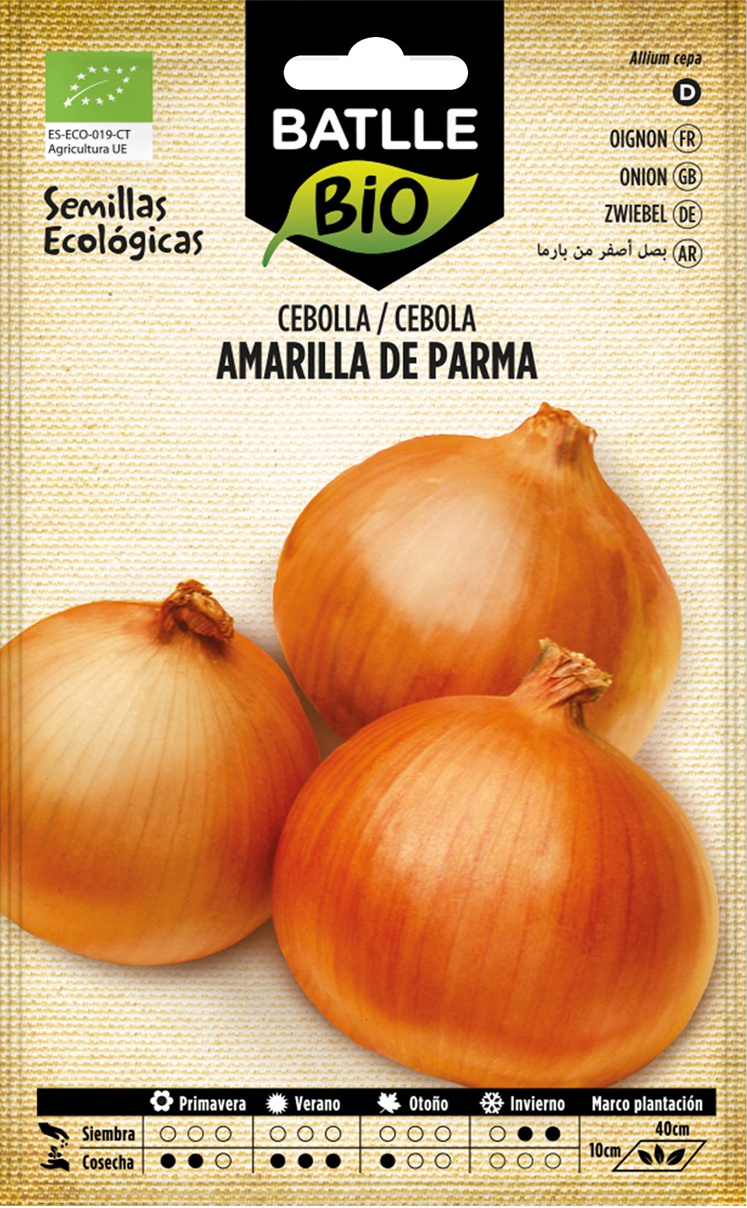 Semilla ecológica de cebolla amarilla de parma, cebola