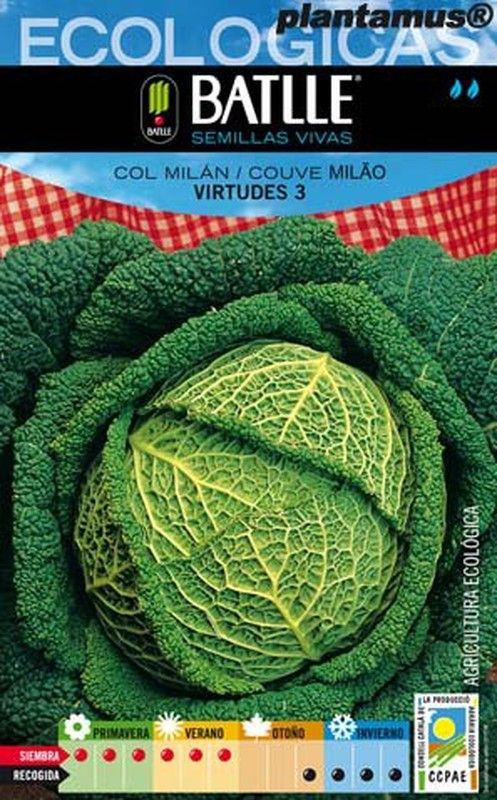Semilla ecológica de col milan virtudes 3